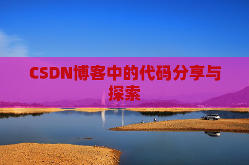 CSDN博客中的代码分享与探索